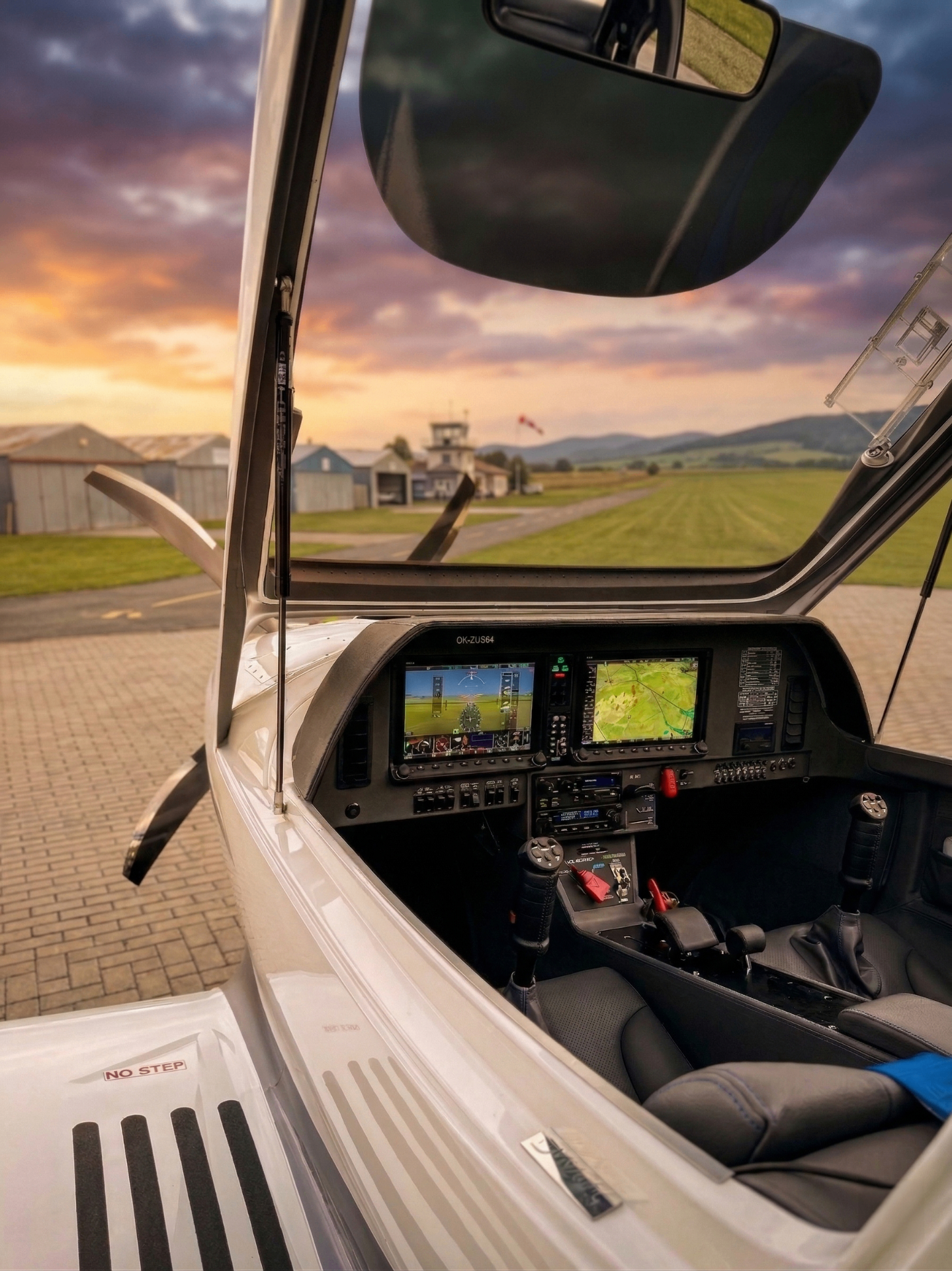Dynamic OKA NG cockpit view with Dynon avionics at sunset